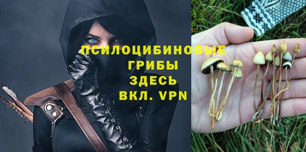 каннабис Елизово